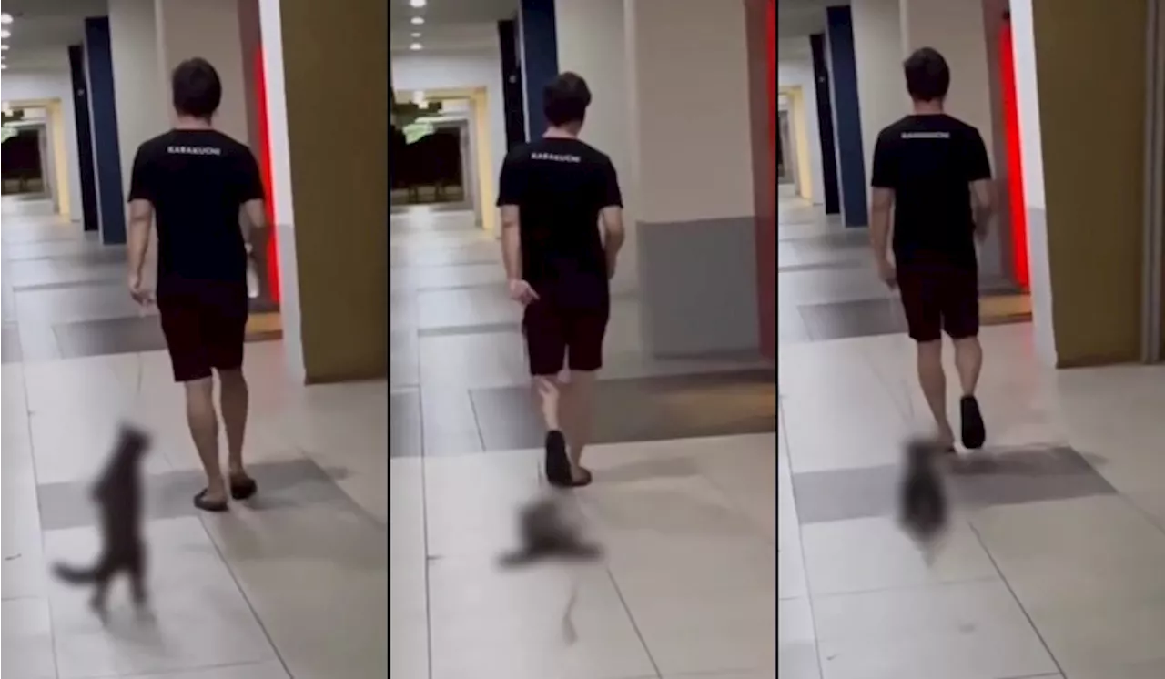 Man in Malaysia Investigated for Dragging Cat by Leash