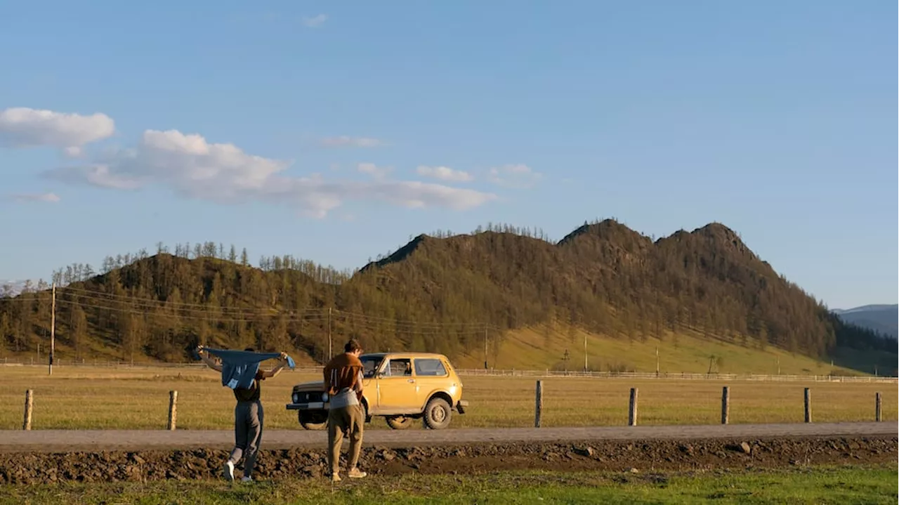 Atención para viajar en vacaciones: los límites velocidad en zonas rurales en Argentina