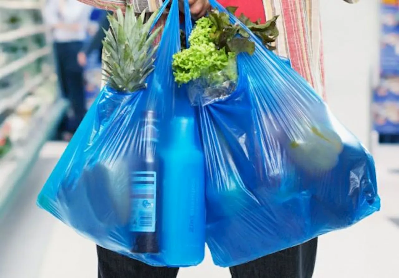 DUN Selangor: Larangan guna beg plastik Jumaat, Sabtu, Ahad