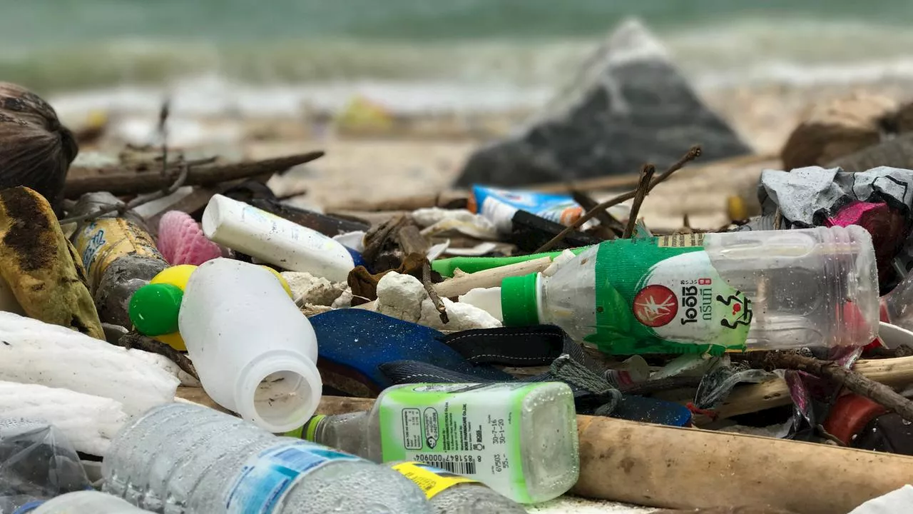 Globales Plastikabkommen: Erfolg im Kampf gegen Plastikmüll?