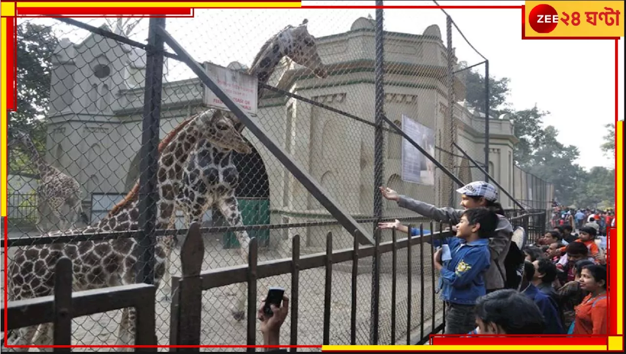 Alipore Zoological Garden: আলিপুরে উলটপুরাণ! চিড়িয়াখানায় এবার মানুষের জন্যই খাঁচা, স্বাধীন ভাবে ঘুরবে পশুপাখি...