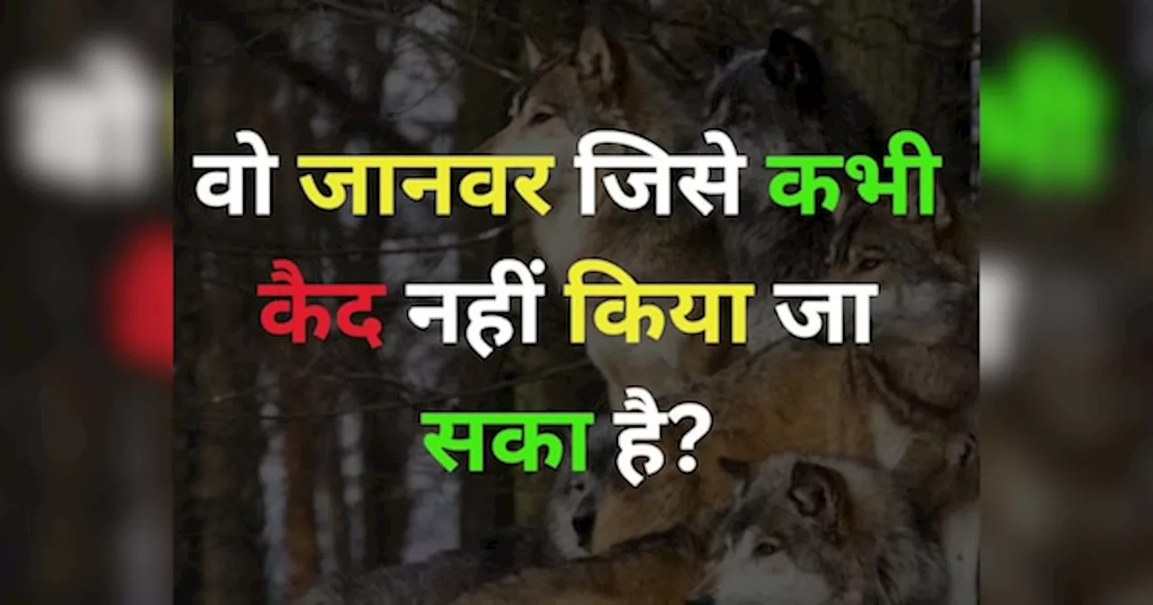 GK Quiz: एक ऐसा जानवर है, जिसे कभी कैद नहीं किया जा सका है?