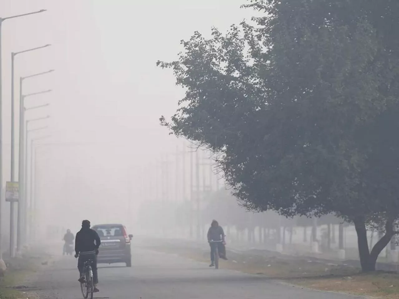 Maharashtra Weather News : दाट धुकं अन् कडाक्याची थंडी; राज्याच्या कोणत्या भागांमध्ये तापमानात घट?