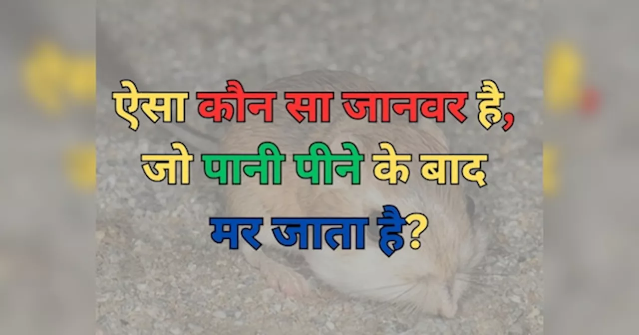 Trending Quiz: ऐसा कौन सा जानवर है, जो पानी पीने के बाद मर जाता है?