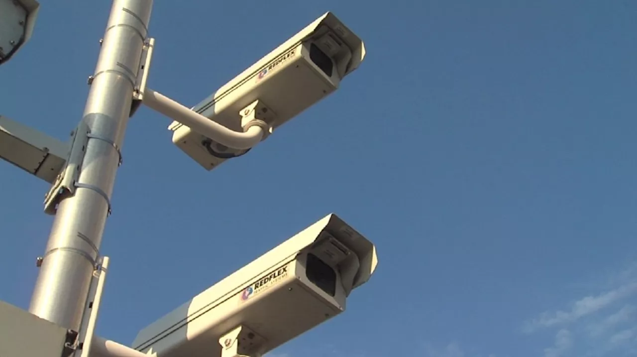 Red light cameras could return to Rochester