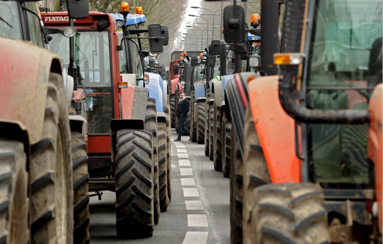 Agriculteurs en colère : Nouvelles actions alors que les députés vont débattre sur le traité Mercosur