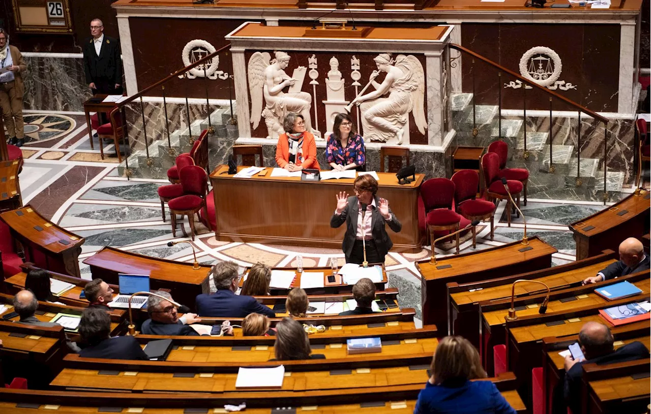 L’Assemblée nationale rejette le projet d’accord de libre-échange entre l’UE et le Mercosur