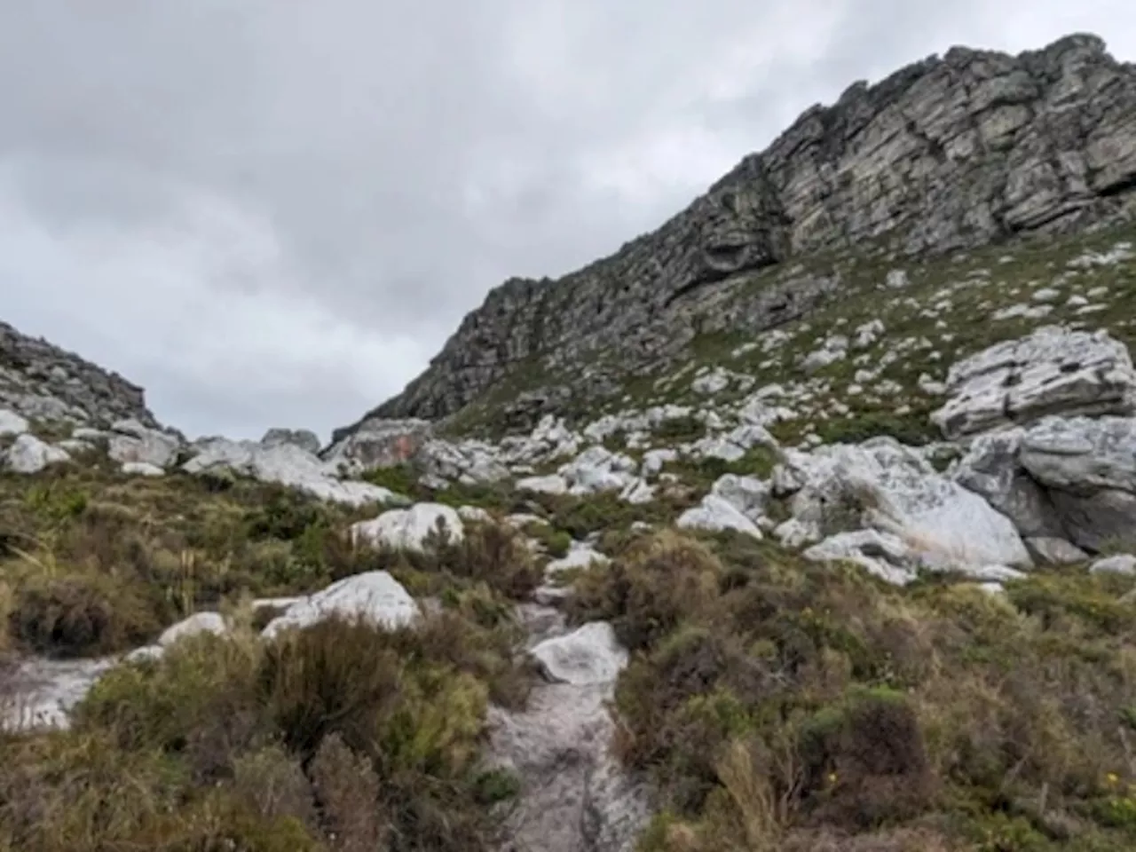 German Tourist Falls Victim To Shocking Attack At Table Mountain National Park