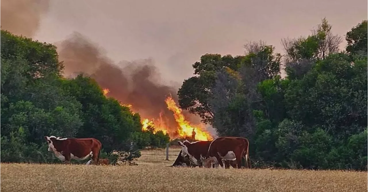 Fresh bushfire evacuation orders north of Perth, as two teens charged over starting separate blaze