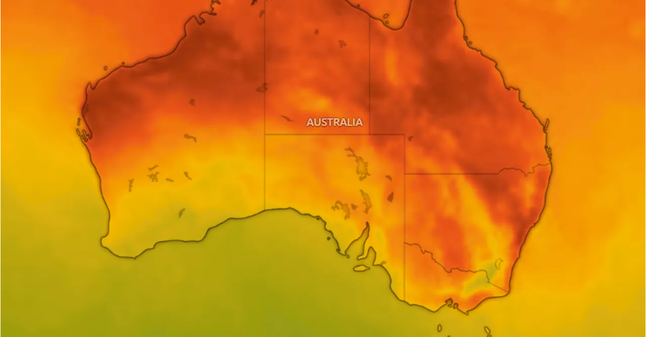 Heatwave Warning Issued for NSW Coast, Energy Blackout Risks Loom