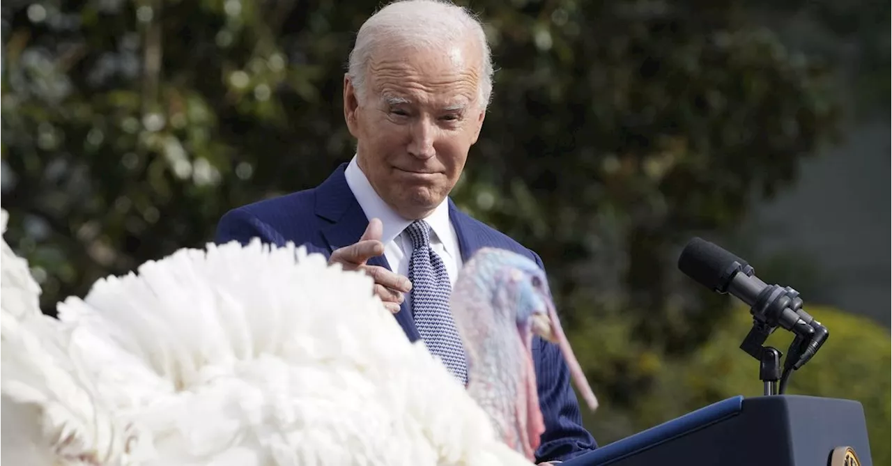 Joe Biden pardons turkeys in final White House holiday season