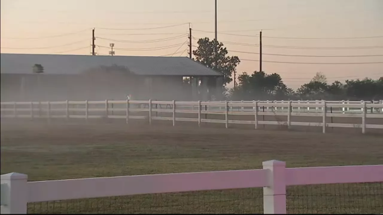 Brother charged in connection to shooting death of 16-year-old Tomball-area, HCSO says