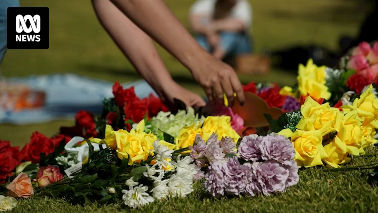 Domestic violence workers lobby for urgent funding to implement NT coroner's recommendations after landmark inquest