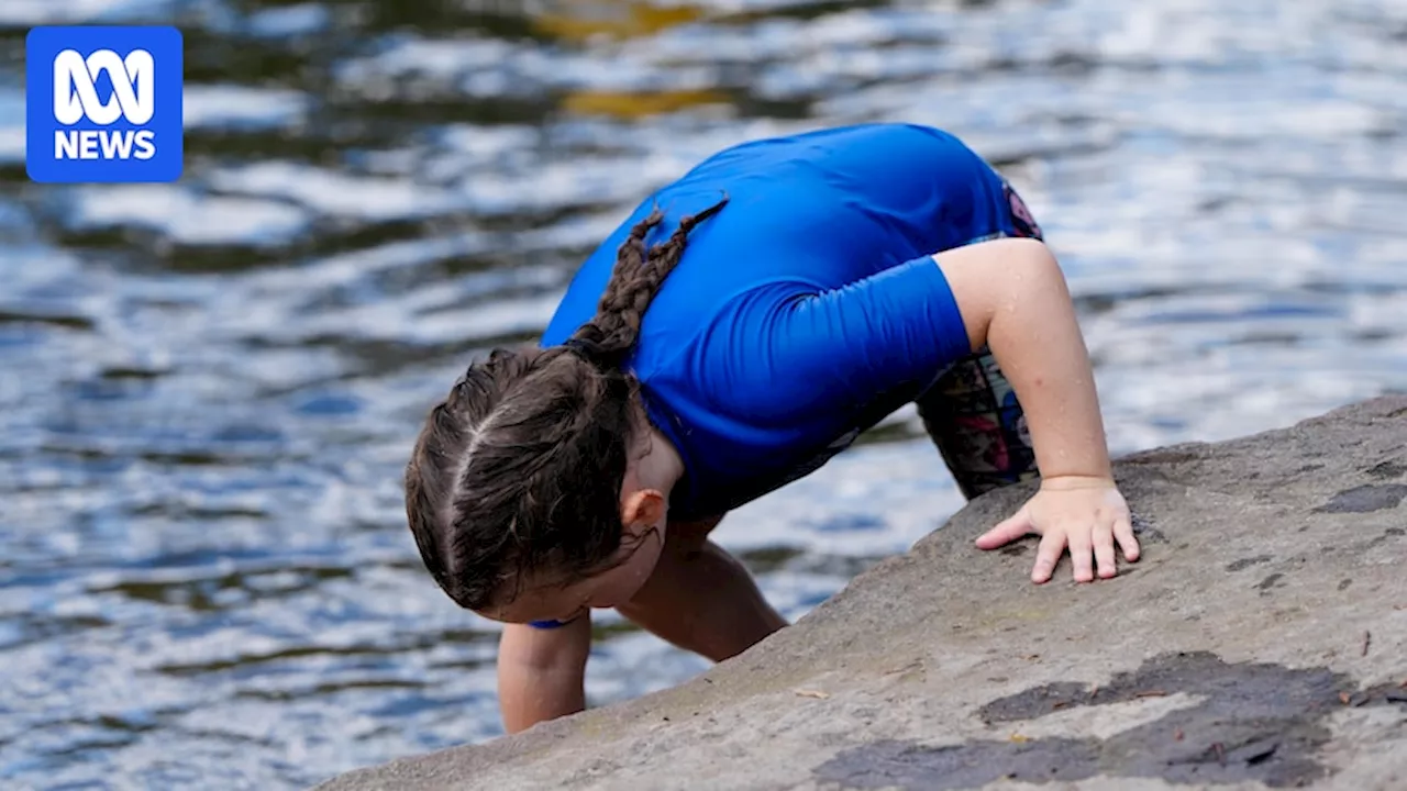 Heatwave Reaches Peak in Sydney and NSW