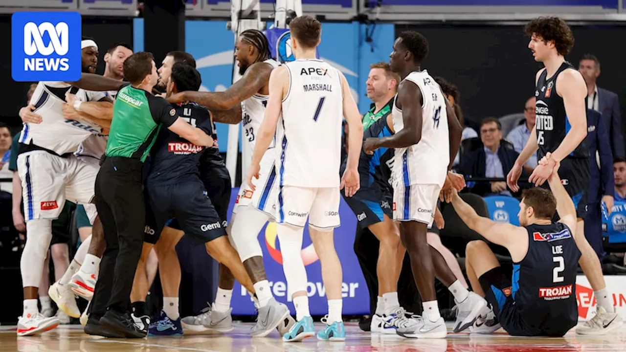 NBL spectator banned for life after courtside brawl