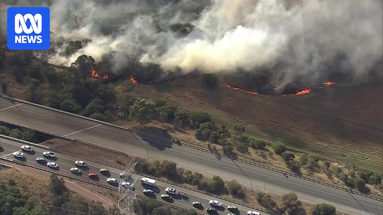 Perth teens charged over Champion Lakes emergency bushfire after 'little campfire' goes wrong