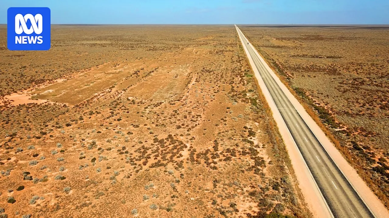 Western Green Energy Hub proposal would transform the Nullarbor. What are the odds of it going ahead?