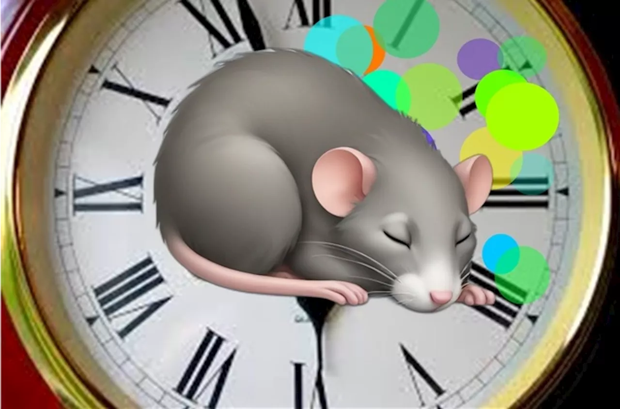 C'è un nuovo orologio del sonno, segna il passaggio alla fase dei sogni