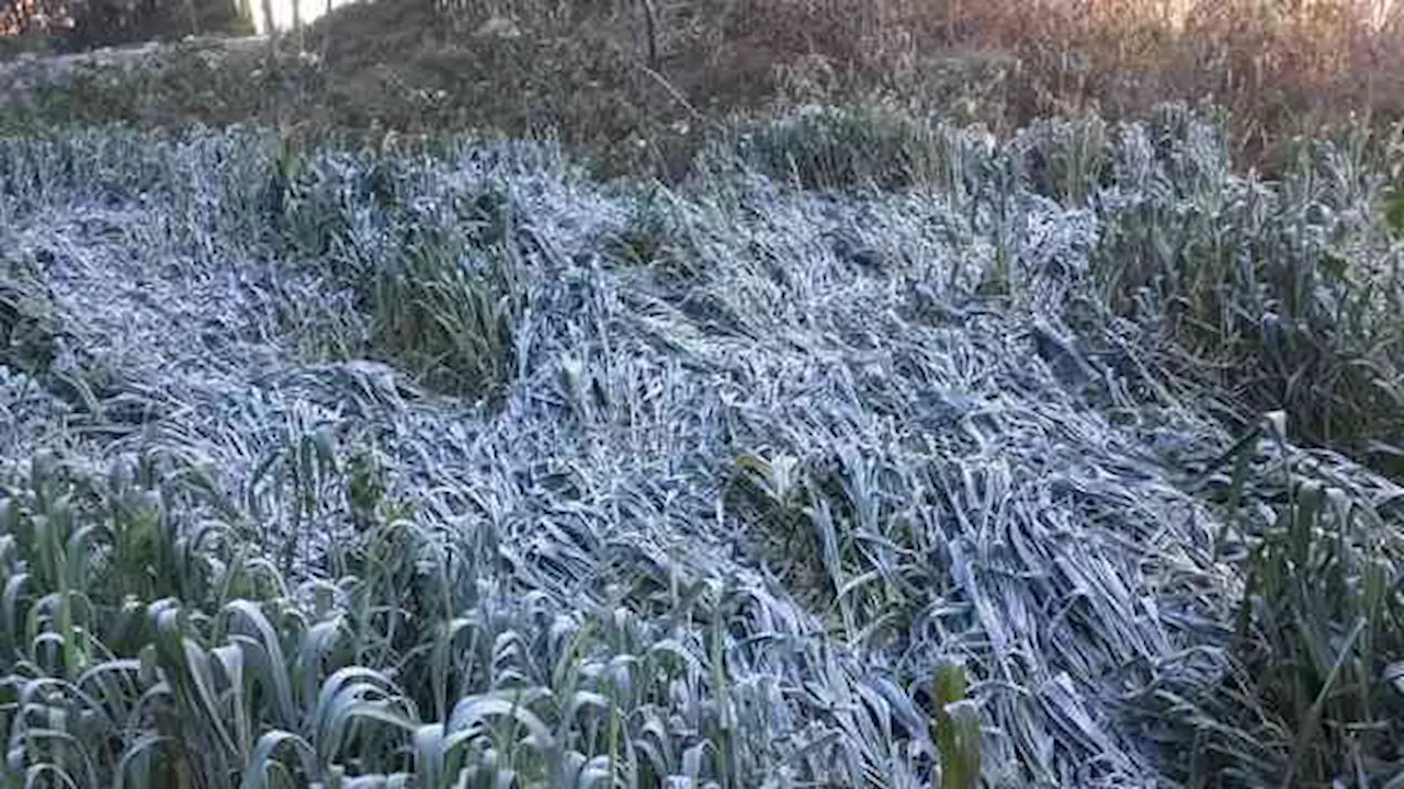 Este martes, bajan más las temperaturas en zonas montañosas de Veracruz