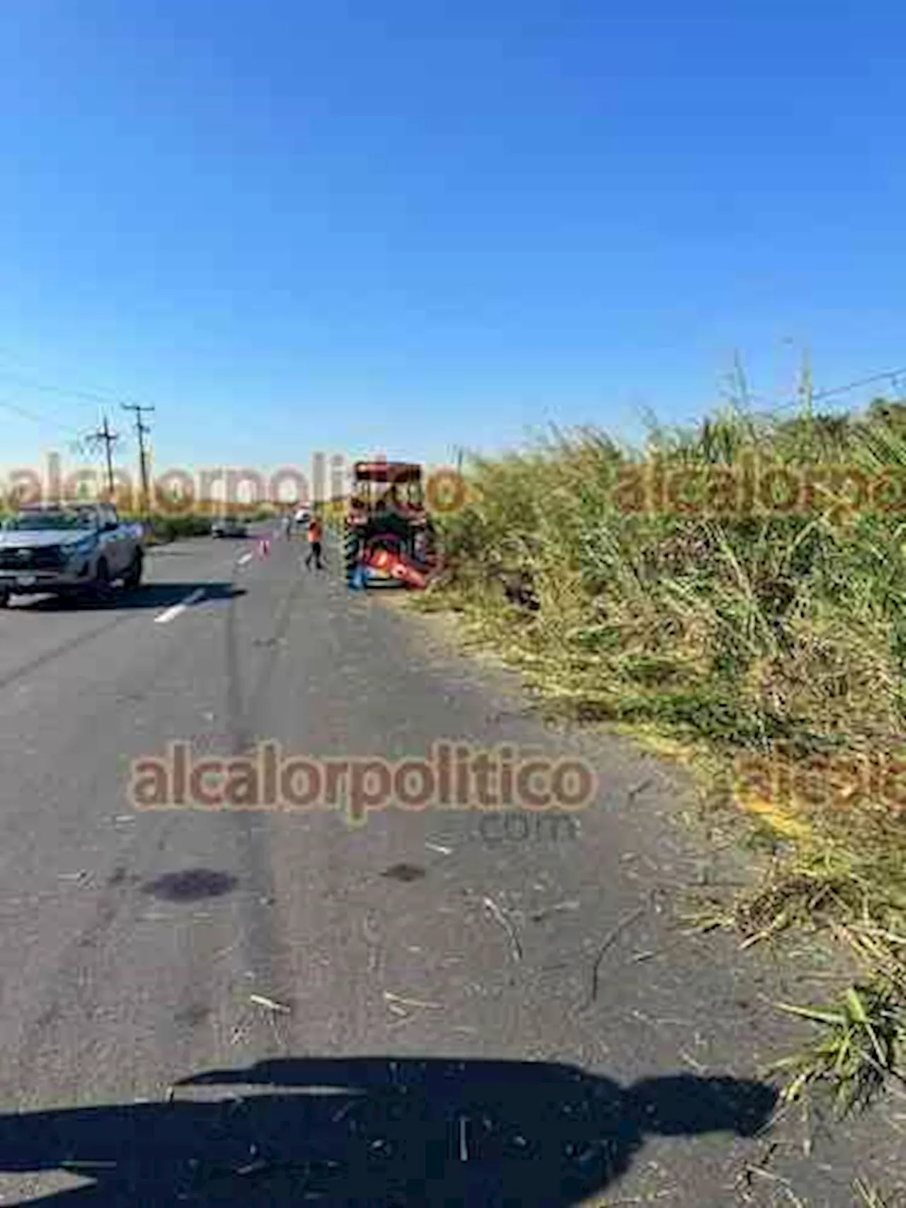 Limpian orillas de carreteras para mejor visibilidad de automovilistas, en Coatza