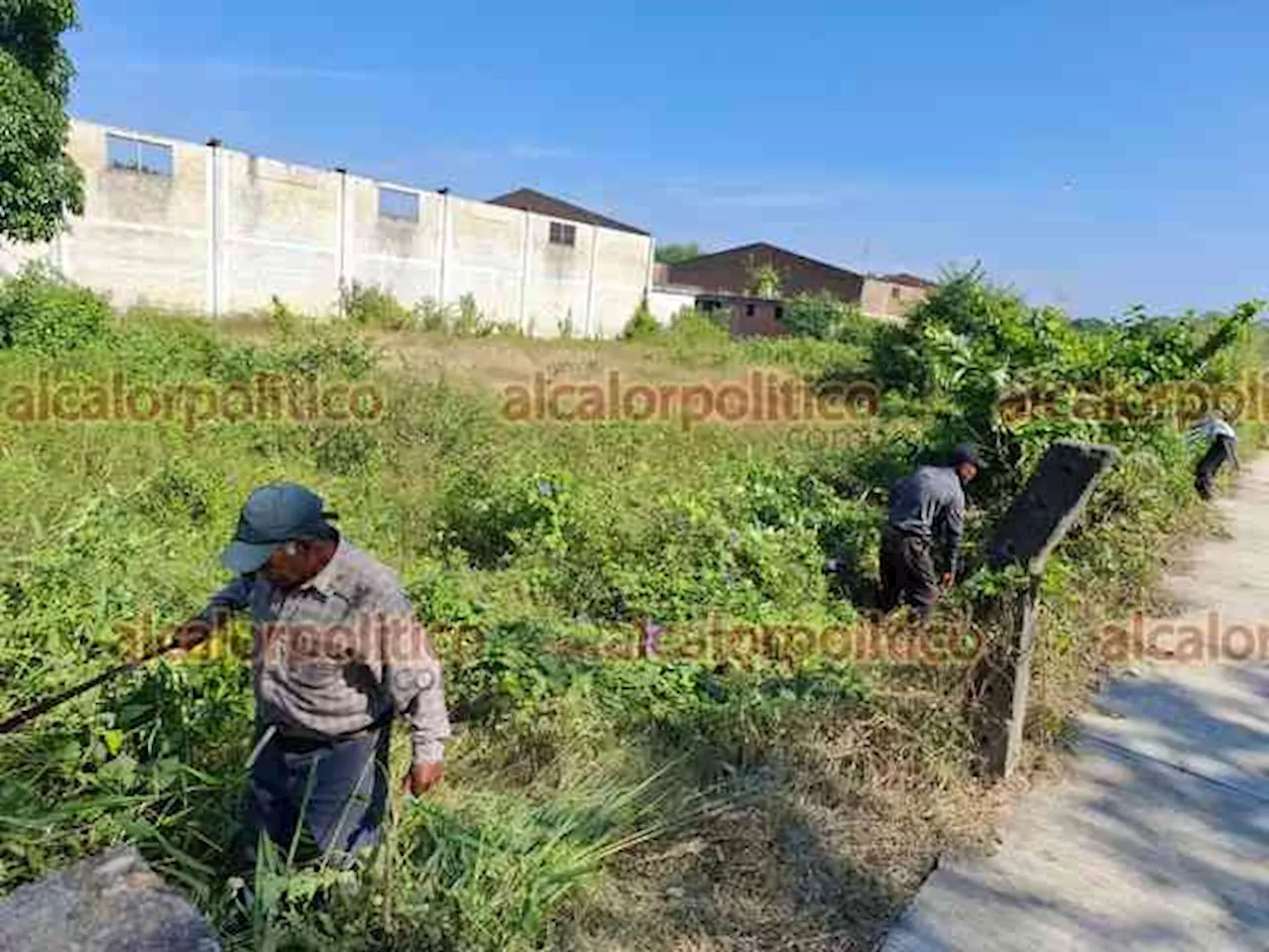 Tabacaleros recuperan naves industriales que tenían en su poder Los 400 Pueblos