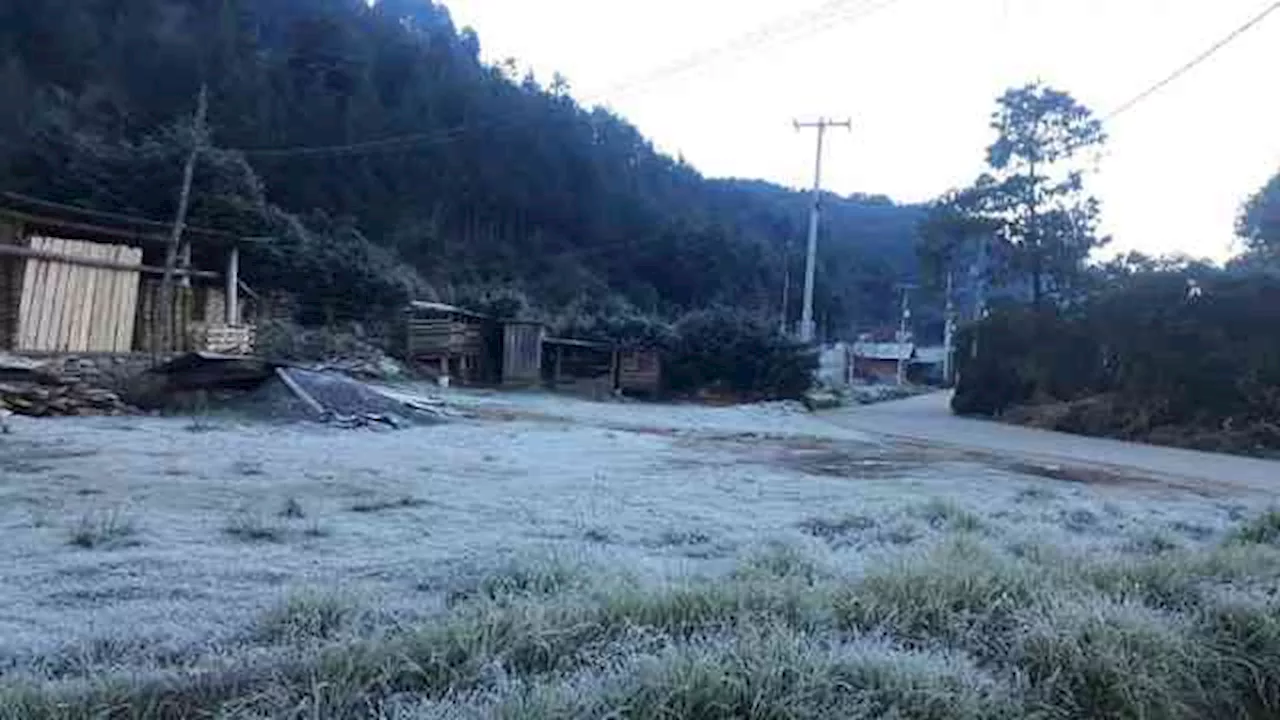 Zalayeta, municipio de Perote, registró este lunes -6 grados Celsius