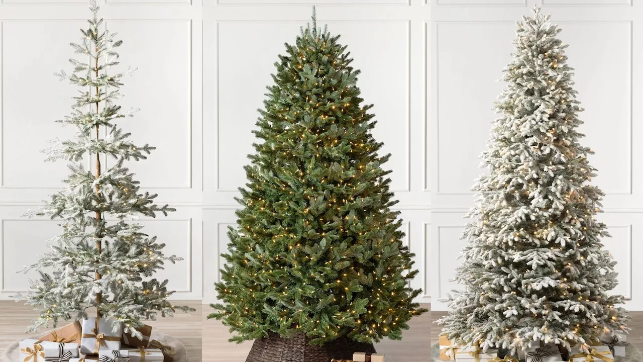 Balsam Hill is offering up to 50% off its best-selling Christmas Trees