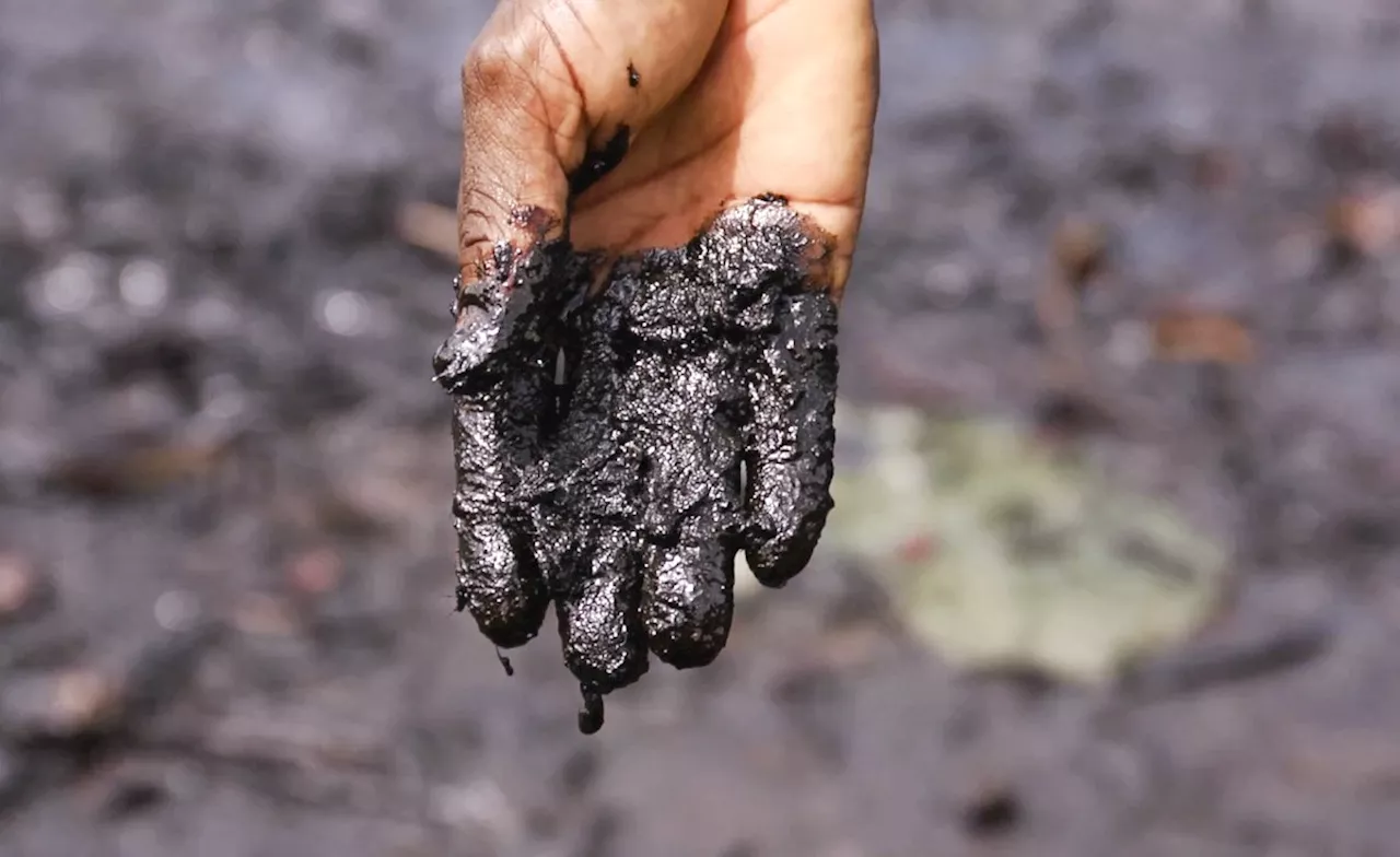 Massive Oil Spill Devastates Nigerian Communities