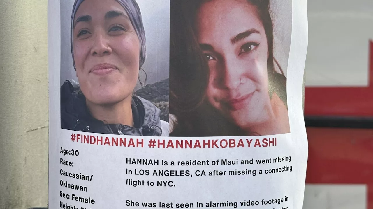 Volunteers join search for Hannah Kobayashi as her father is found dead