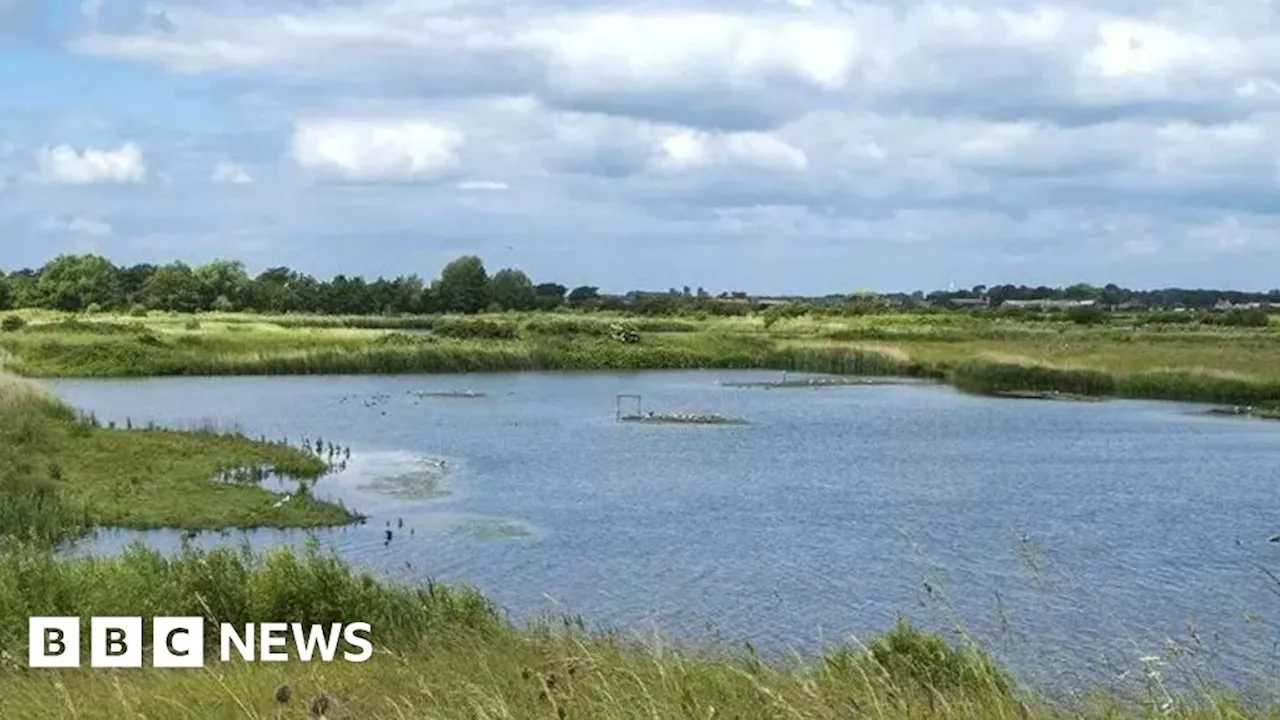 Wildlife trust buys farm in heart of North Cave Wetlands