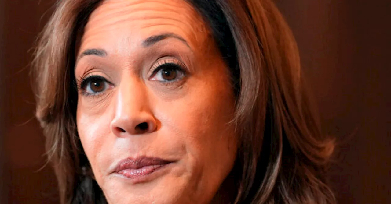 DNC Union Creates ‘Relief Fund’ for Staffers Laid Off After Kamala Harris Election Loss