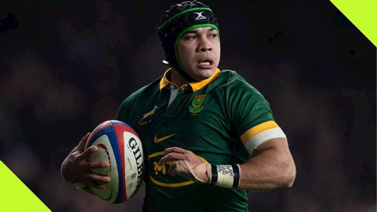 Cheslin Kolbe's Old Dream Video Resurfaces, 11 Years After It Was Filmed