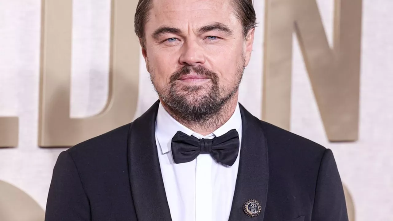 Leonardo DiCaprio: Insider dementiert Gerüchte um Verlobung mit Vittoria