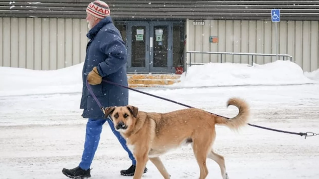 Crowsnest Pass voted for coal — other Alberta communities don't all share the enthusiasm