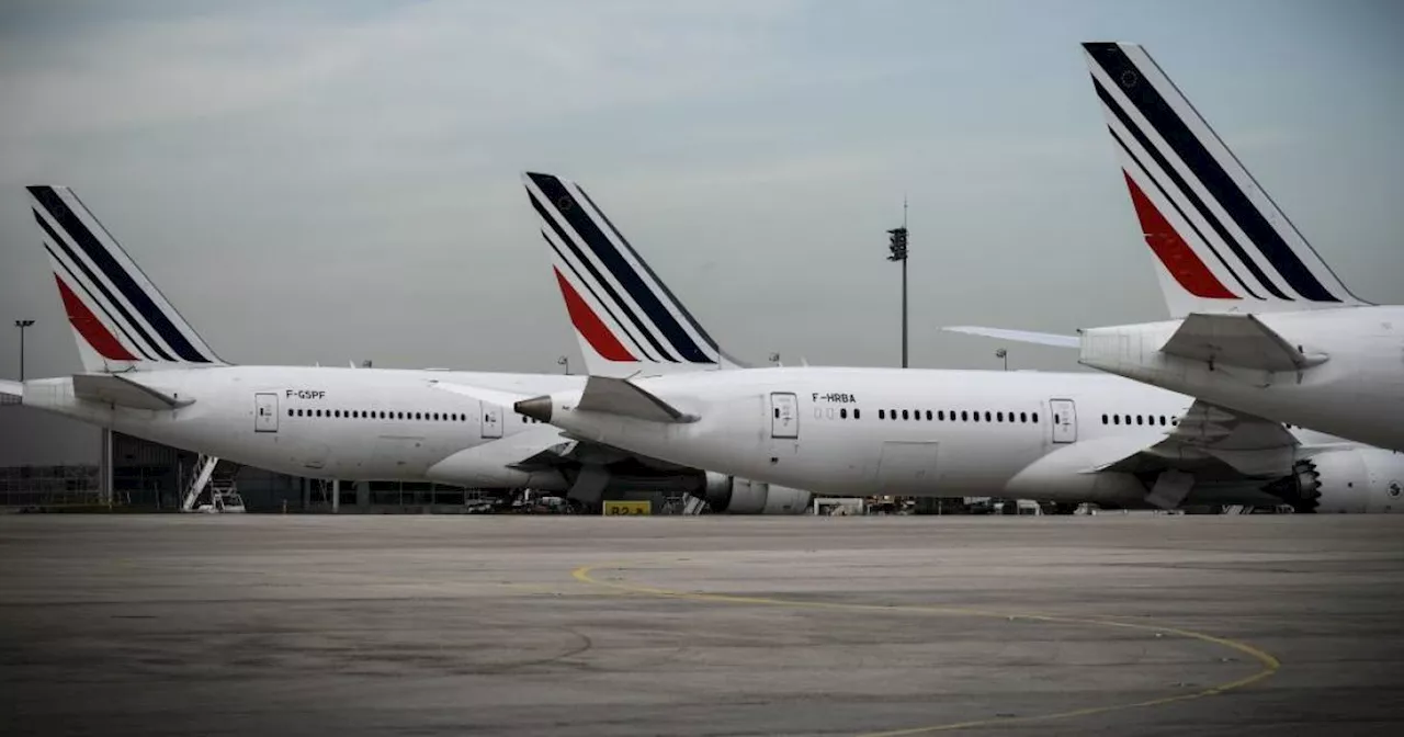 Paris airport closes runways and deploys drone in search for dog that escaped from plane