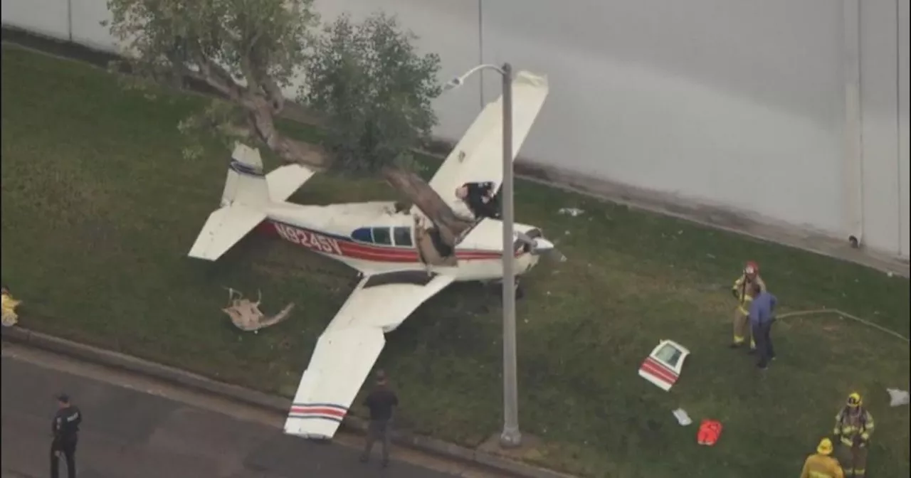 Small plane crashes into a tree near Fullerton Airport