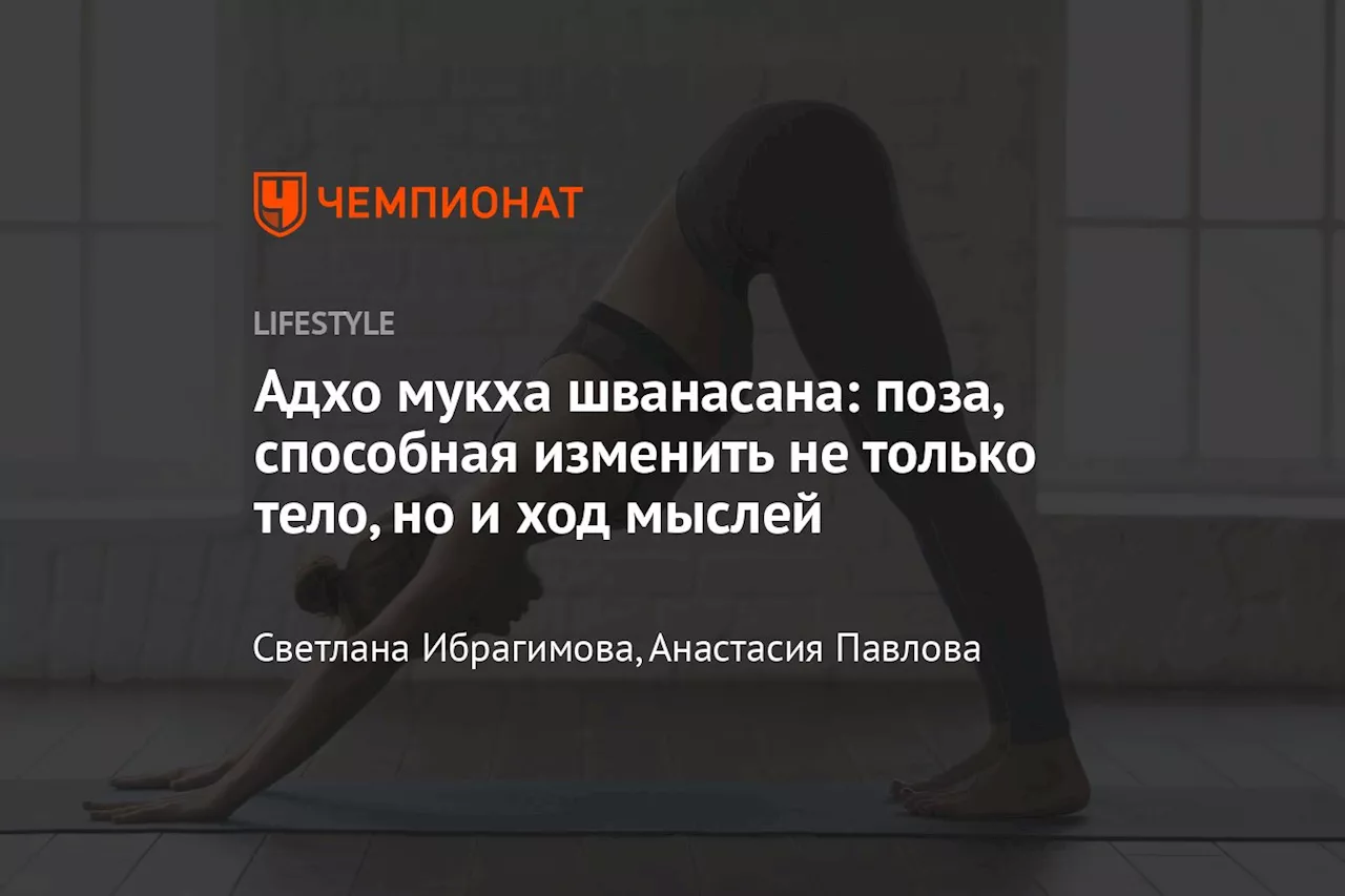 Адхо мукха шванасана: поза, способная изменить не только тело, но и ход мыслей