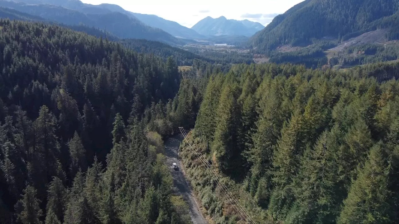 Cement Truck Crash Causes Travel Delays in Port Alberni