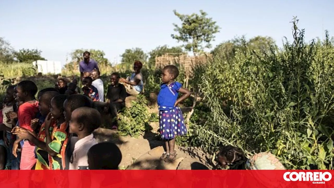 Sul de Moçambique em alerta face a vaga de calor com temperaturas até 41 graus