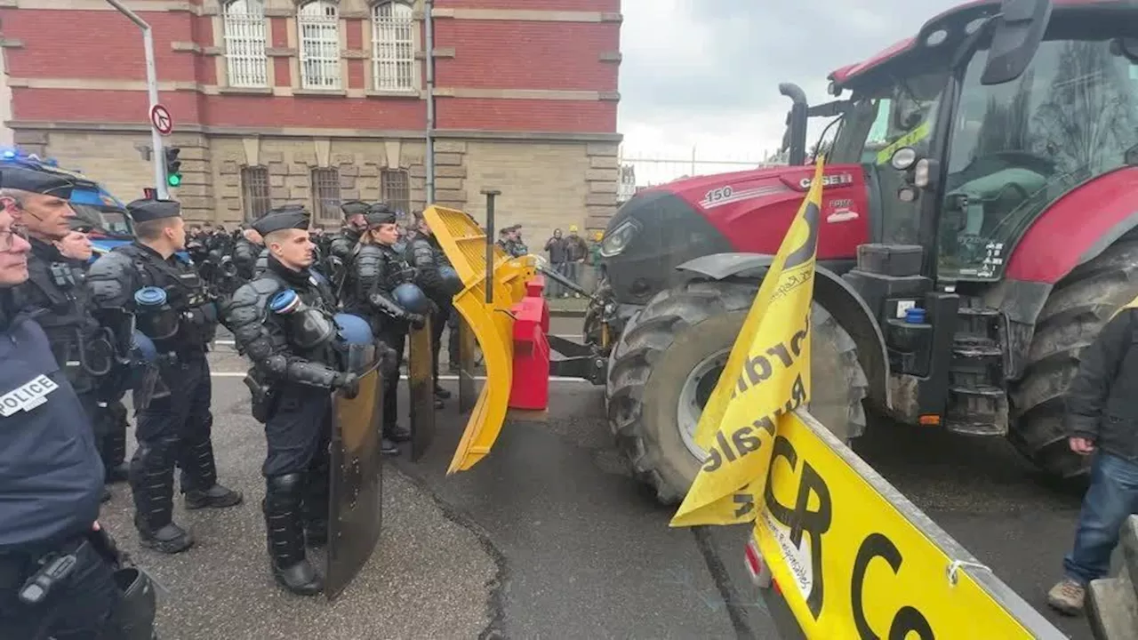 Agricultores da França protestam contra acordo comercial entre UE e Mercosul