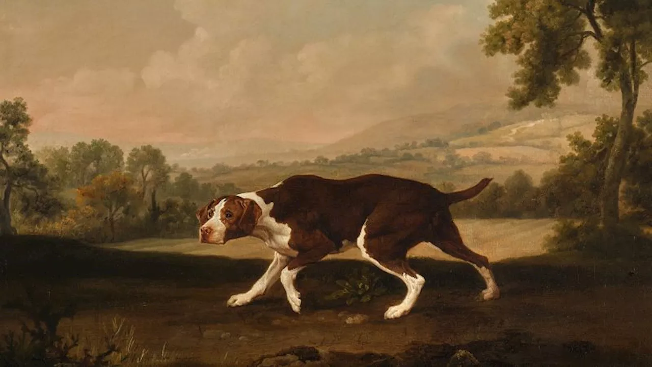 George Stubbs dog painting expected to sell for up to $2.5 million at auction