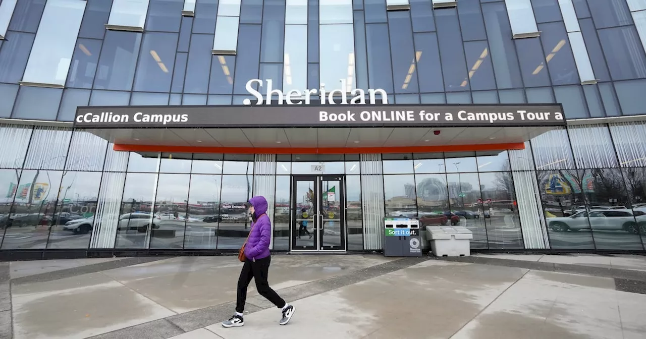 Sheridan College to suspend 40 programs, reduce staff amid international student cap