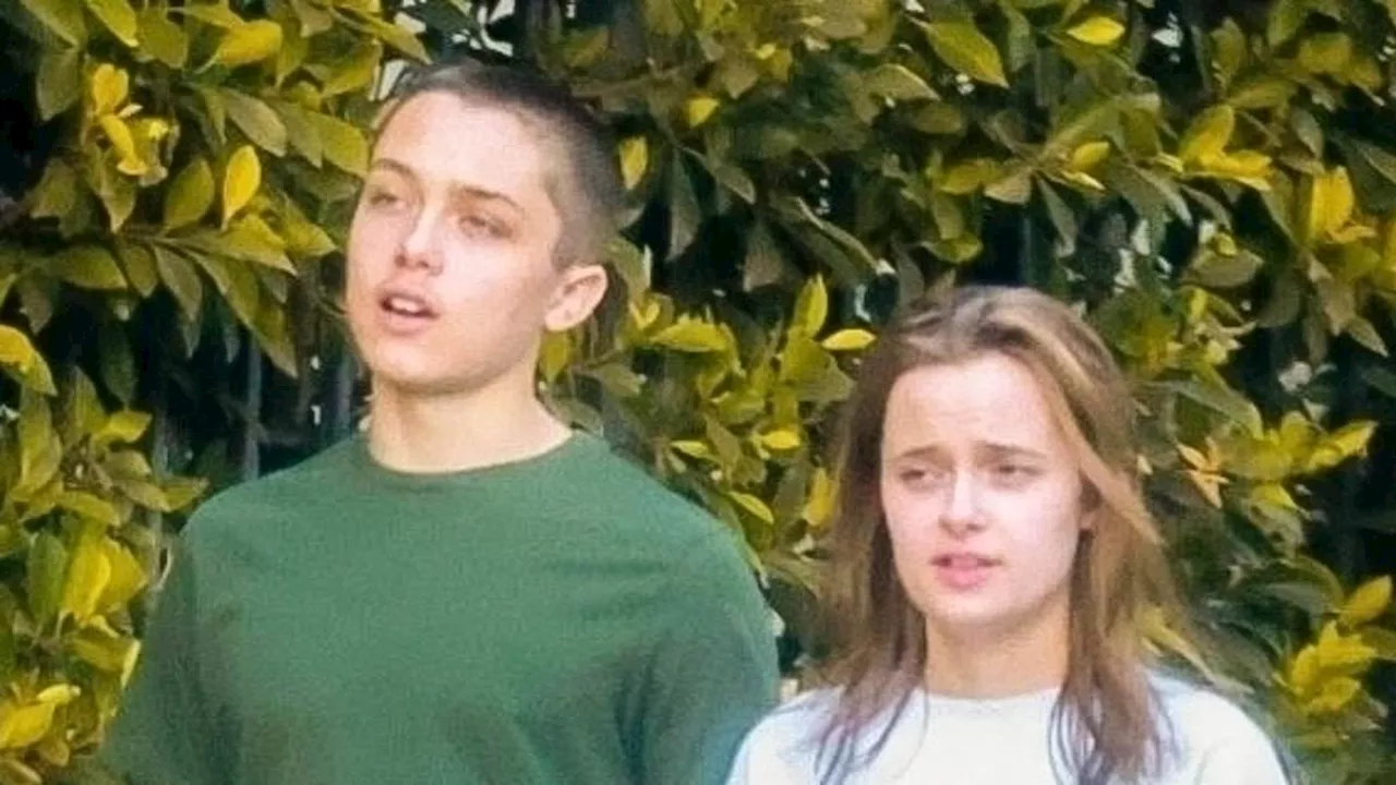 Brad Pitt and Angelina Jolie's Twins Make Rare Grocery Run in LA