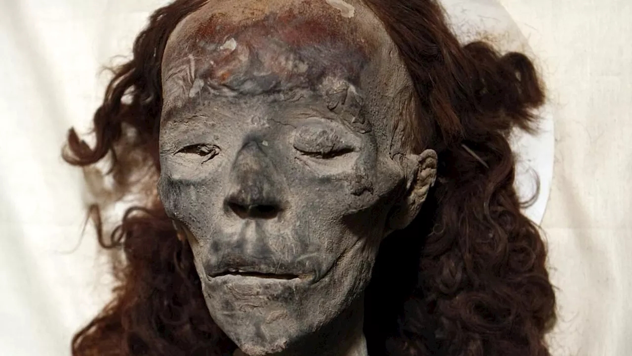 Photoshop Artist Reconstructs Face of Queen Tiye, King Tut's Grandmother