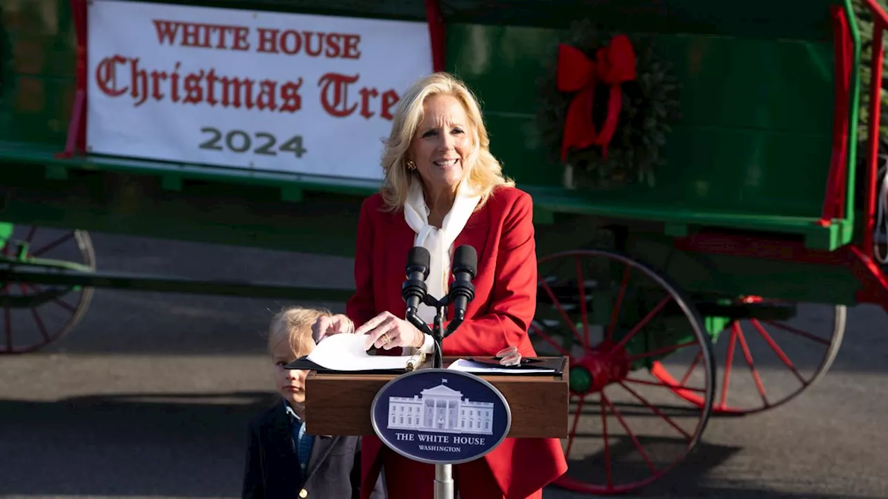 Weißes Haus in Washington: First Lady nimmt Weihnachtsbaum in Empfang