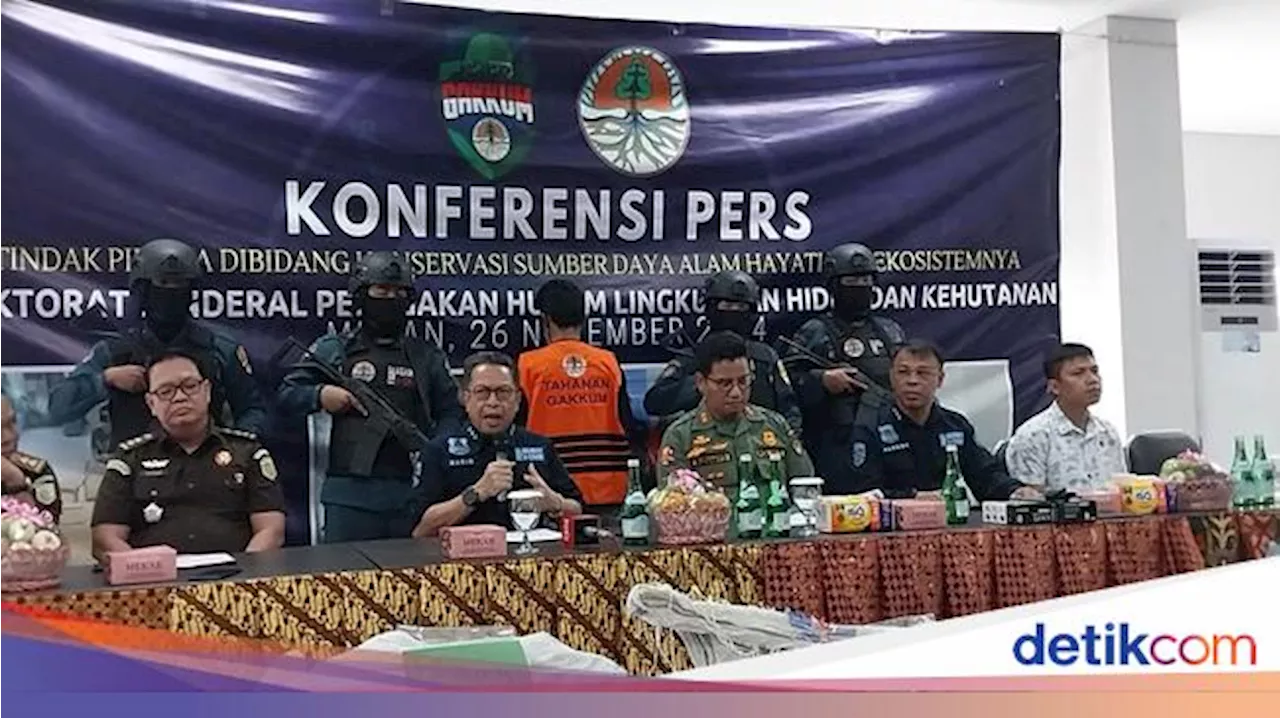 Kronologi Pengungkapan Penjualan Sisik Trenggiling Libatkan 3 Oknum TNI/Polri