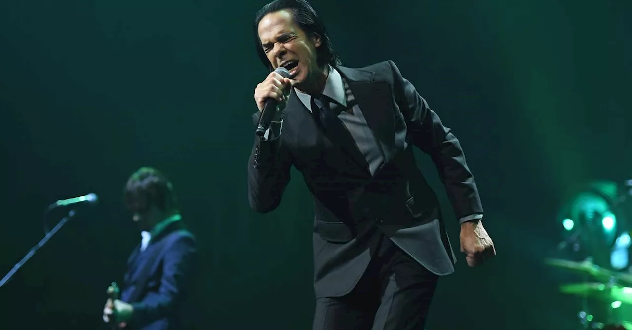 Freude! Wie Nick Cave auf ein Posting von Bob Dylan reagierte