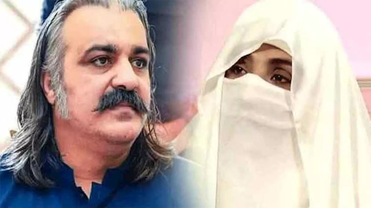 Ali Amin Gandapur aur Bushra Bibi ke jasoos mein Punjab police kuchh 450 PTI karamiyan ko rakh kar PTI sharaon ko bharose se chhora