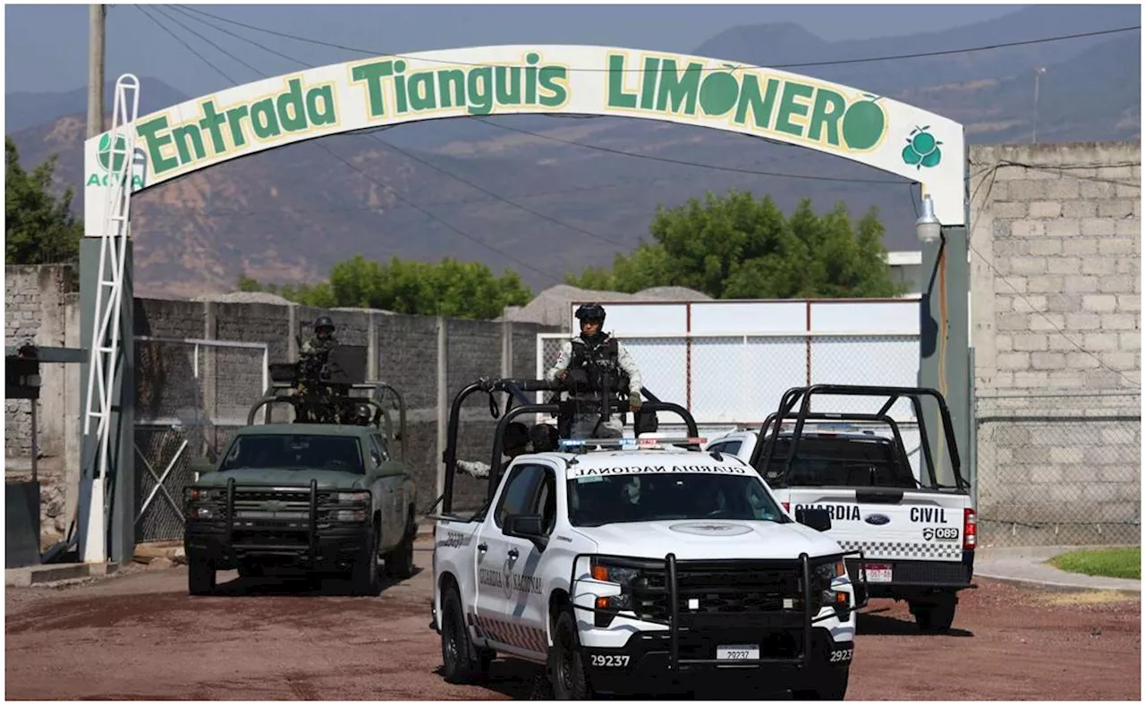 GN y Ejército mantienen operativo para limitar operaciones de Los Viagras y CJNG; extorsionan a productores de limón en Michoacán