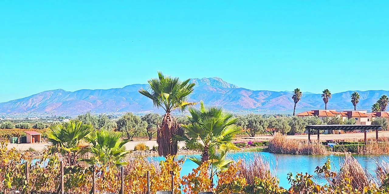 El Cielo: Un oasis sustentable en Valle de Guadalupe